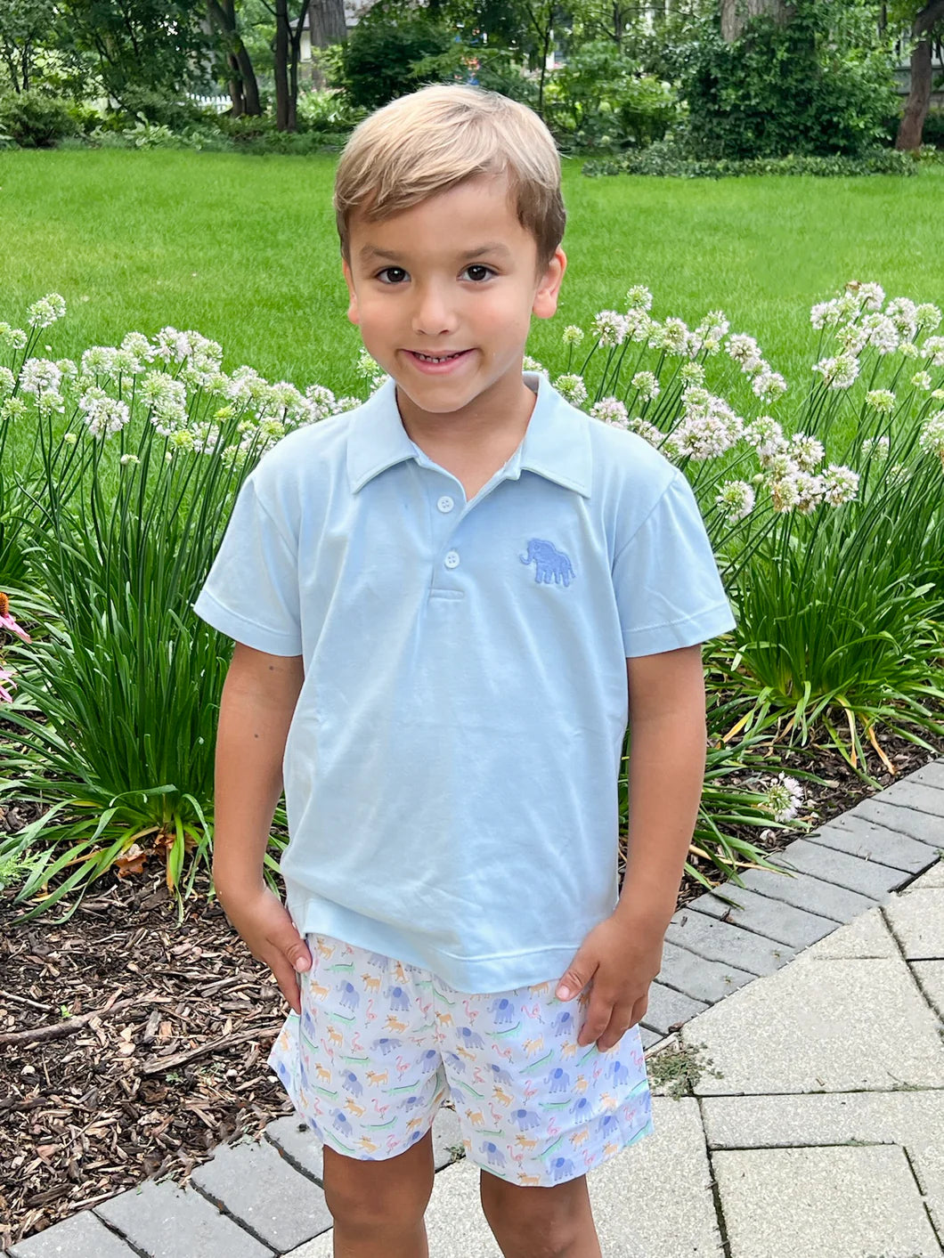Conrad Shorts-ZOO-pendous