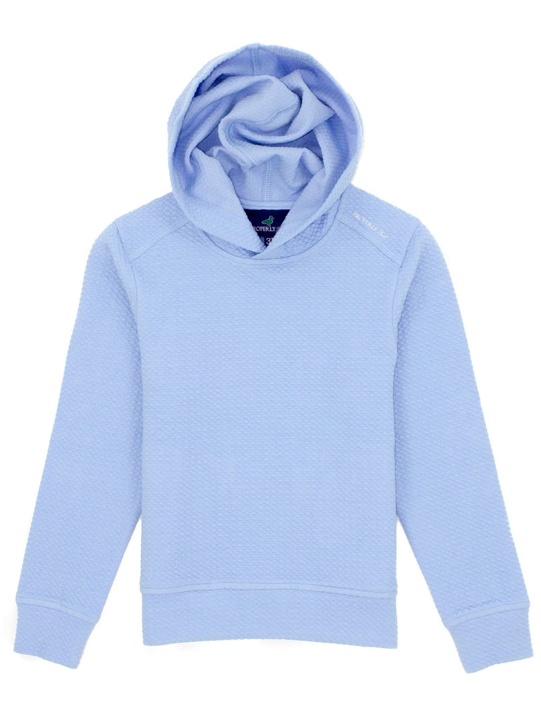 Palmetto Hoodie-Powder Blue
