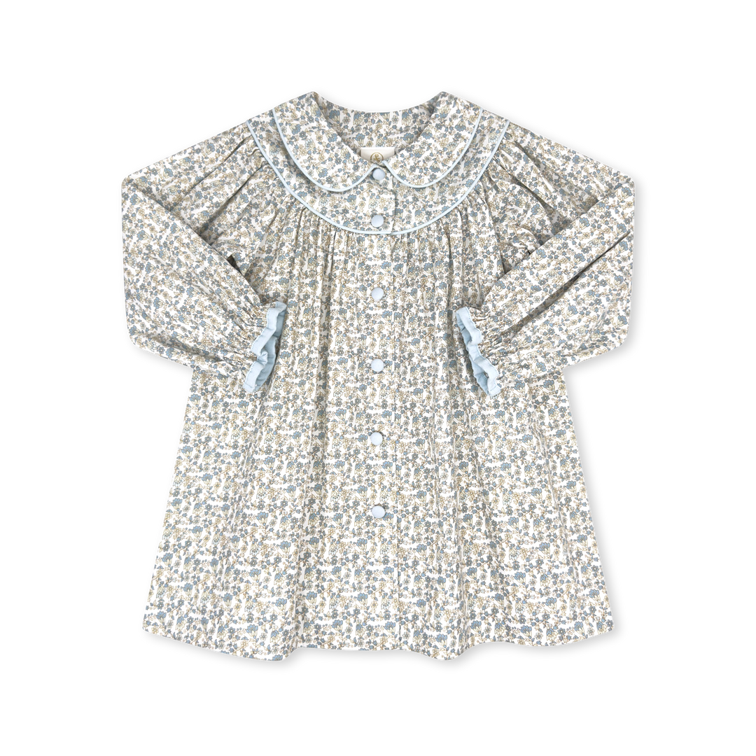 Collette Dress LS Blue Floral