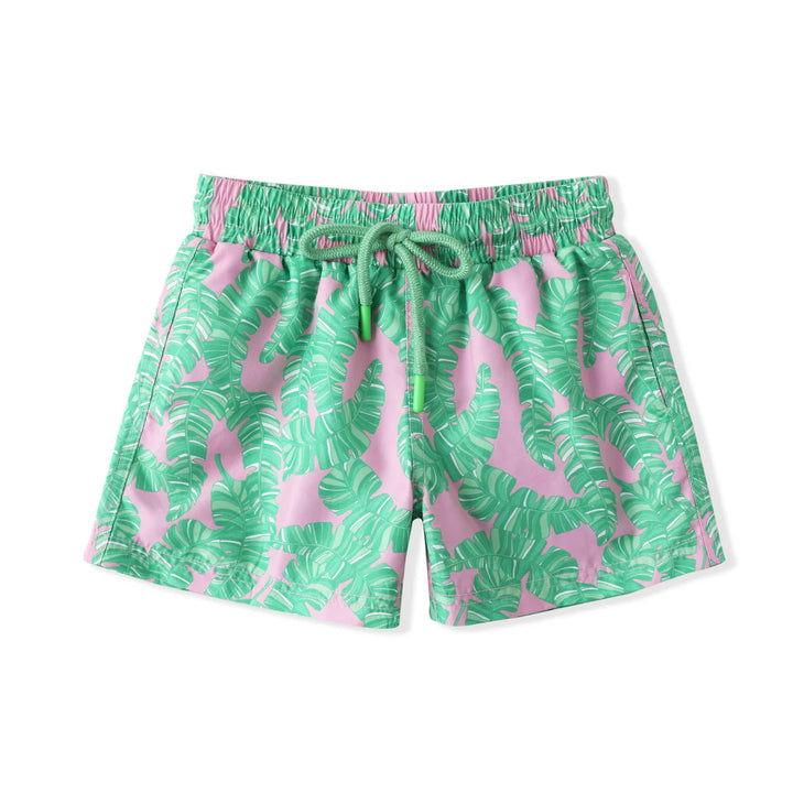 Beverly Palm Trunks