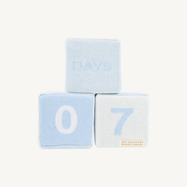 Blaylock Blocks
